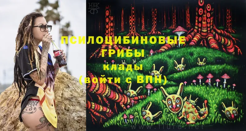 Галлюциногенные грибы Psilocybine cubensis  наркошоп  Жердевка 